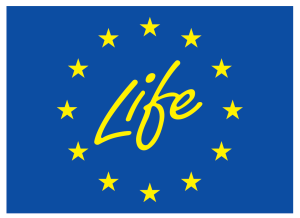 EN Co-funded by the EU_NEG